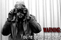 Watching the Watchdogs: top10workathomejobsof2008.com
