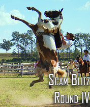 Online Scam Review Blitz: Round IV