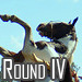 Online Scam Review Blitz: Round IV