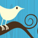 I’m trying Twitter. I don’t know why.