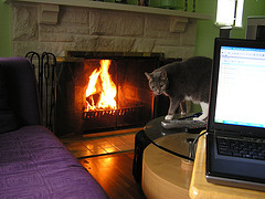 Yes, You Can Work From Home!